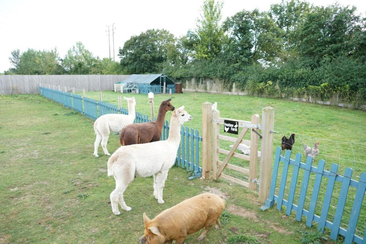 Alpaca Lodge Sittingbourne Exterior foto